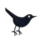 twitter bird3 Icon